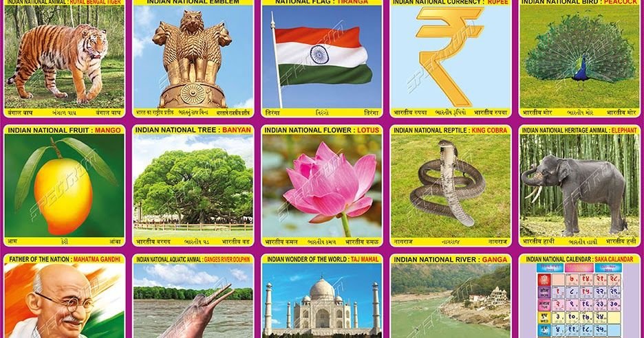  PDF List Of National Symbols Of India PDF Free Download