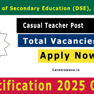 DSE Mizoram Casual Teacher Notification